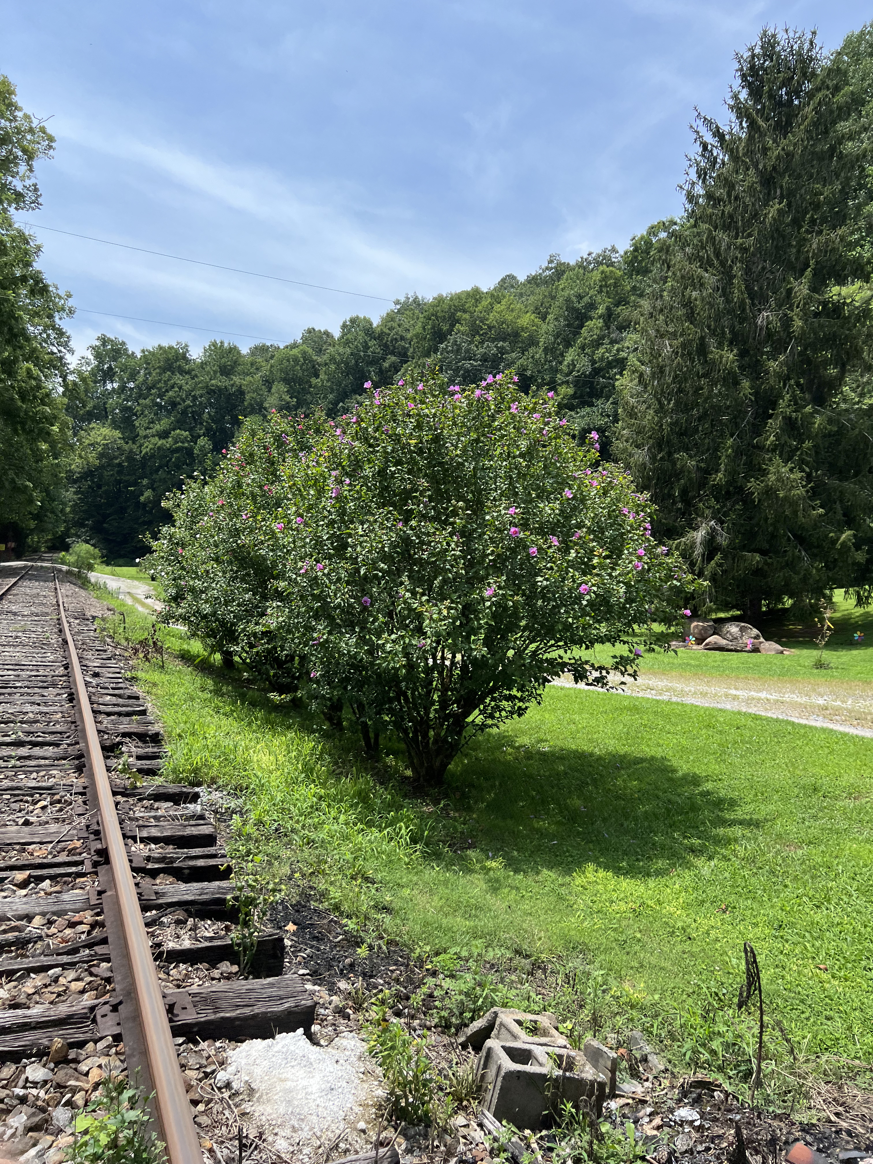 ./2023/11 - Asheville/IMG_9893.jpg